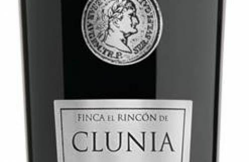 Finca El Rincón de Clunia 2014 92 PUNTOS WINE SPECTATOR un vinazo 