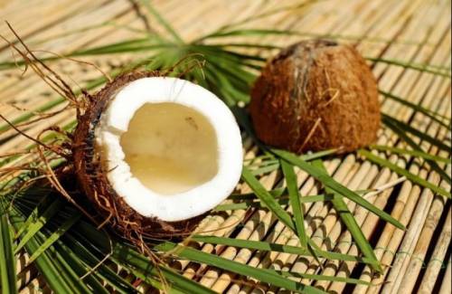 Propiedades y usos del aceite de coco ecológico