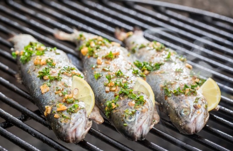 Parrillas para hacer ricas barbacoas de carne, pescado y verduras a la  plancha